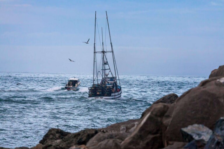 Noyo Harbor Tours