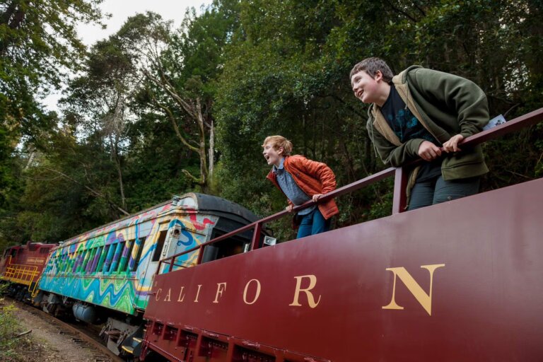 Skunk Train