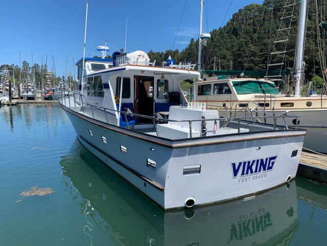 viking-charter